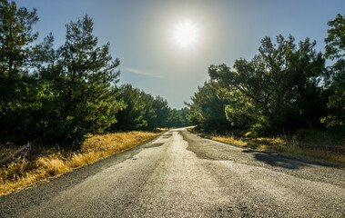 Fototapety na wymiar - Fototapeta24.pl