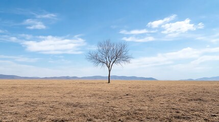 Solitary Tree in Vast Barren Landscape Under Clear Blue Sky : Generative AI