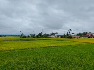 Green and cool village views