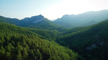 Fototapeta premium Breathtaking Aerial View of Verdant Mountainous Landscape in Early Morning Light Forests and Hillsine Scenic : Generative AI