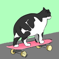 Mee Chan Riding Skateboard Meme Illustration