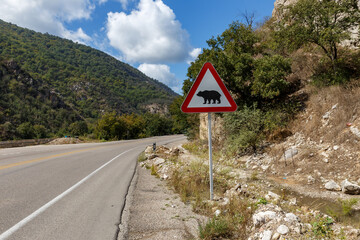 A bear caution sign near Gorgan Bojnord road shows wildlife presence in lush Golestan National Park.