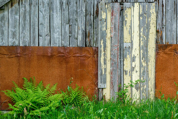 Weathered barn walls in Norway reveal the artistry of time, surrounded by lush ferns and earthy tones, embodying a serene countryside atmosphere.