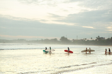 Boards for surfing on the Indian ocean beach. Surfing in Sri Lanka.