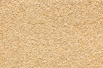 White uncooked quinoa seeds. Top view.