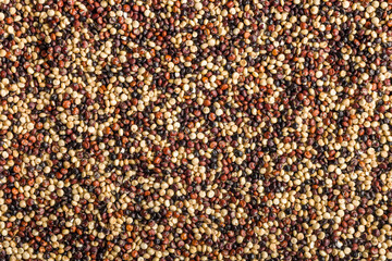 Mixed uncooked quinoa seeds. Top view.