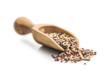 Mixed uncooked quinoa seeds in scoop isolated on white background.