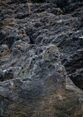 close up of the reef in the coastline, in Keelung City, Taiwan.