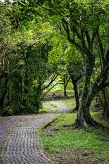 Beautiful trail hidden in the forest, in Keelung City, Taiwan.
