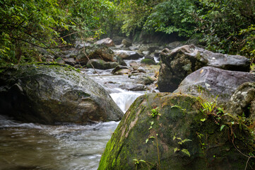 Peaceful scene of the river flowing gently with big rocks cover by moss and fern, in New Taipei City, Taiwan.