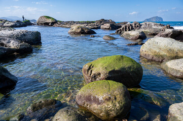 Peaceful scene of the coastline, rocks covered by seaweed, and ocean flowing gently, focus on the foreground in purpose, in Keelung city, Taiwan.