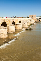 Large crowd of ourists on the ancient roman bridge crossing Guadalquivir river at C&oacute;rdoba, Andalusia, Spain