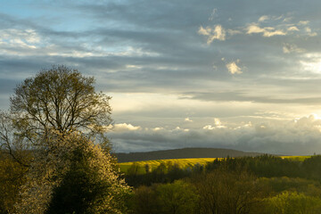 Obraz premium Chaleur d'un soir