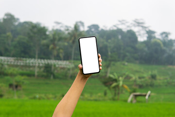 Mock up image of A hand holding a blank screen of smartphone at the rice field farm with nature blurred​ background