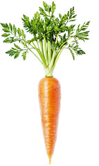 a Carrot, side view, on isolated transparent background