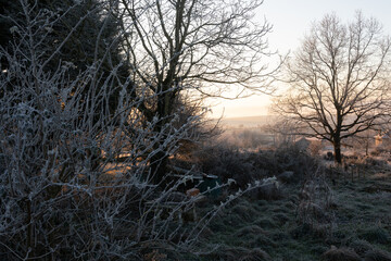 Moody cold winter landscape at sunset