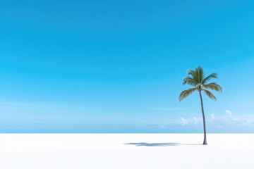 commercial photography for advertising campaign showcasing single palm tree casting shadow on bright white sand under