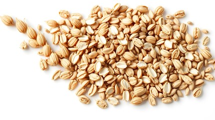 Fototapeta premium wheat grain isolated on white background