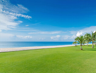 海沿いの芝生の公園