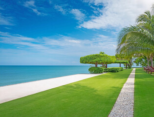 海沿いの芝生の公園