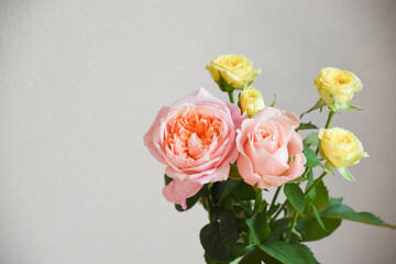 ピンクと黄色のばら