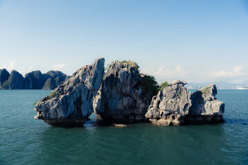 Amazing rock look like fish shape on the ocean. One of the best iconic or landmark in Ha Long Bay, Vietnam. Perfect for background or travel wallpaper