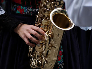 Traditional Tyrol band instrument detail