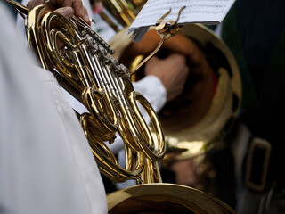 Traditional Tyrol band instrument detail