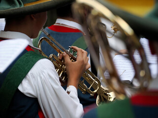 Traditional Tyrol band instrument detail