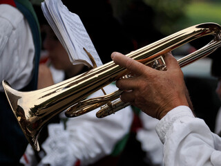 Traditional Tyrol band instrument detail