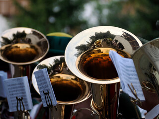 Traditional Tyrol band instrument detail