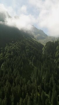 Vertical drone shot of beautiful mountain and forests, in summer afternoon under clear blue sky in Switzerland Alps