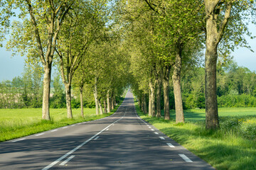 Driving car on national roads in Grand Est region in France, countryside, fields and forests, agricultural industry, grain fields