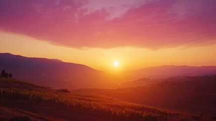 Obraz premium Vineyard Sunset Golden hour sun sets over rolling hills and vineyards