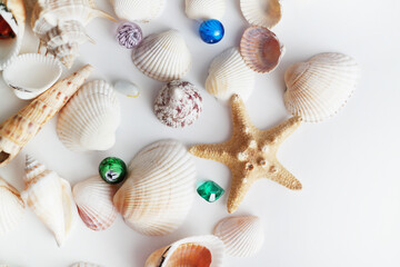 Summer seashells colourful collection