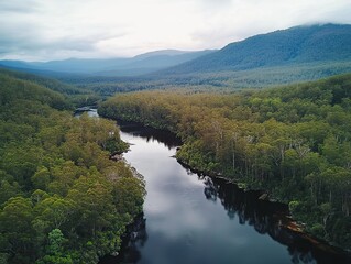 Fototapeta premium Aerial view of river winding through lush forest, mountains in background; nature travel, tourism