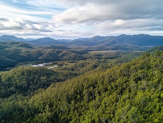 Aerial view of lush green forest, mountains, and valley in Tasmania, Australia; nature background