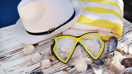 Summer seashells colourful collection