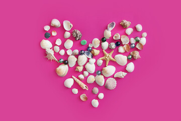 Summer seashells colourful collection