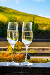 Tasting sparkling white wine, traditional champagne method making of cremant in caves on Moselle river valley in Luxembourg, glasses of wine and view on terraced vineyards
