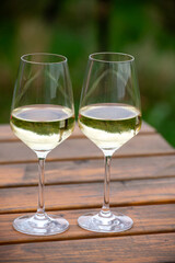 Glasses of white dry riesling wine made on Moselle river valley in Germany or Luxembourg, view on terraced vineyards
