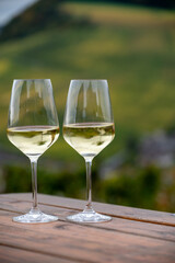 Glasses of white dry riesling wine made on Moselle river valley in Germany or Luxembourg, view on terraced vineyards