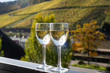 Glasses of white dry riesling wine made on Moselle river valley in Germany or Luxembourg, view on terraced vineyards