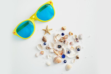 Summer seashells colourful collection