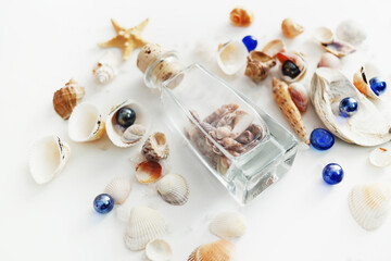 Summer seashells colourful collection