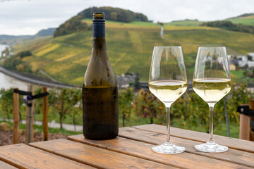 Glasses of white dry riesling wine made on Moselle river valley in Germany or Luxembourg, view on terraced vineyards