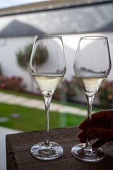 Tasting sparkling white wine, traditional champagne method making of cremant in caves on Moselle river valley in Luxembourg, glass of wine