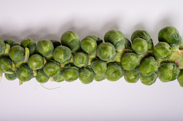 Green brussels sprouts on stalks on white table