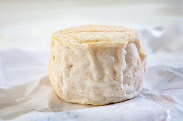 Cheese collection, soft goat French cheese with mold crottin de Chavignol produced near Sancerre on cheese farm, Loire Valley close up