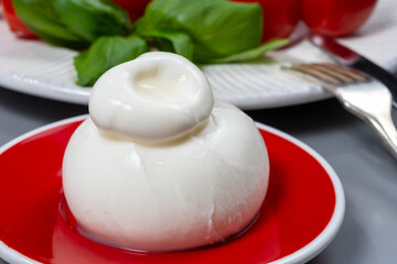 Cheese collection, fresh soft white burrata cheese ball made from mozzarella and cream from Apulia, Italy, close up